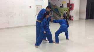 Đánh Võ Vovinam