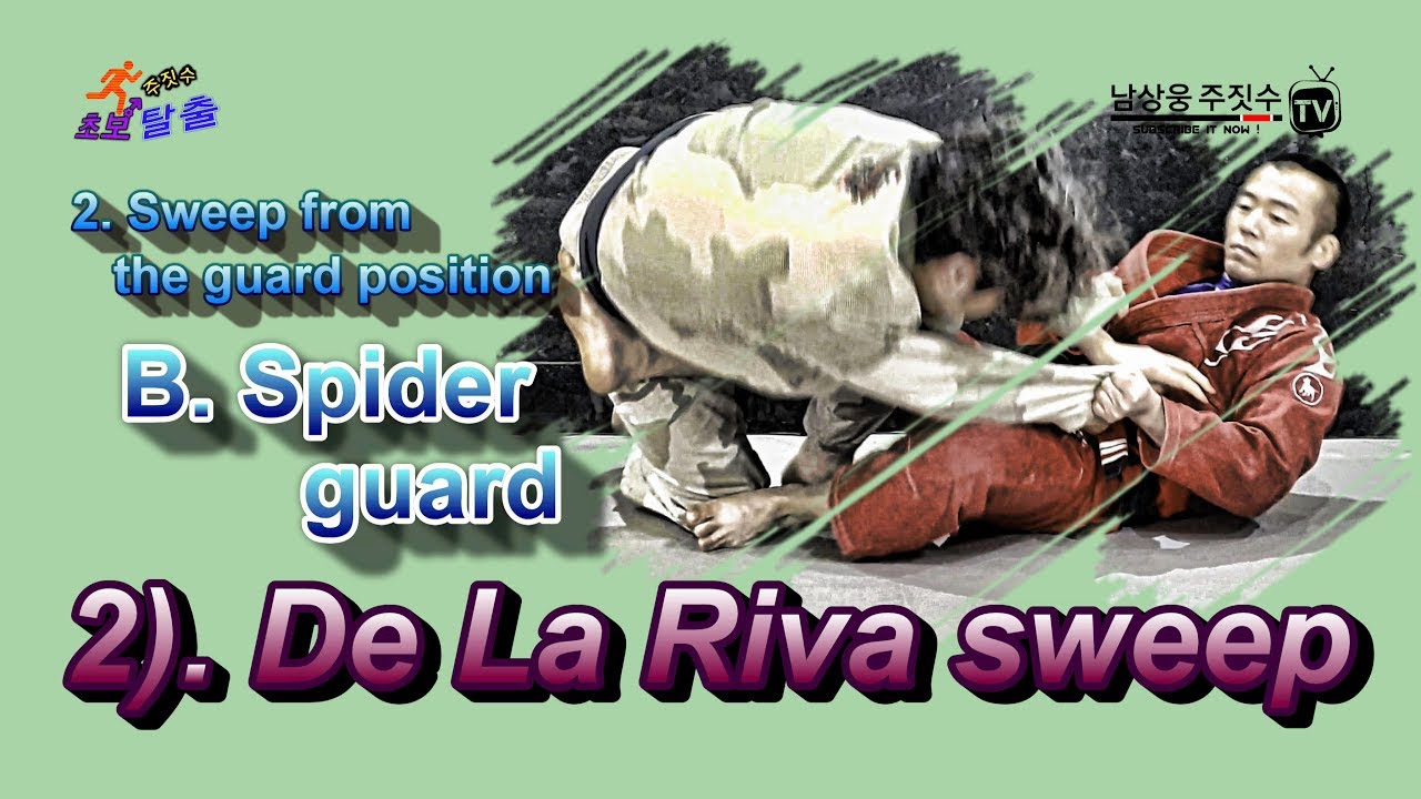 [주짓수] 스파이더가드 데라히바 스윕 - Spider guard De La Riva sweep (Jiu jitsu) - YouTube