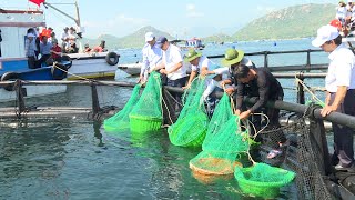 Advanced Sea Farming Techniques Agricultural Knowledge