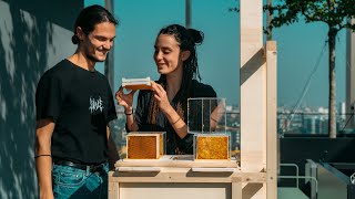 B-BOX: first ever beehive designed for home beekeeping