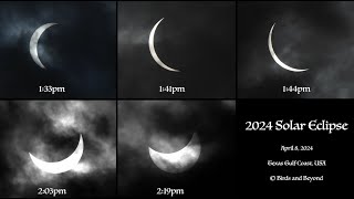 2024 Solar Eclipse 🌒
