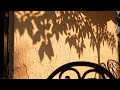 Cozy December Porch Jazz 🔥 Warm Outdoor Ambience & Fireplace for Study