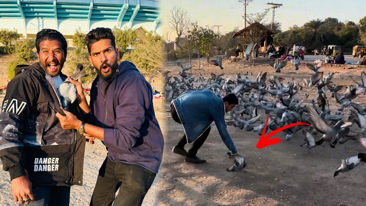 Aaj road se racer kabutar paker liya or ya Kia hua 😳😳