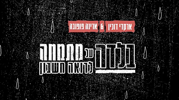 ארקדי דוכין - בלדה למתמחה לרואה חשבון