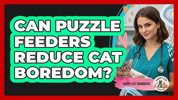 Can Puzzle Feeders Reduce Cat Boredom?