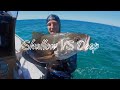 Spearfishing the Sunshine Coast: Shallow vs Deep Diving (Spearo Stories #6)