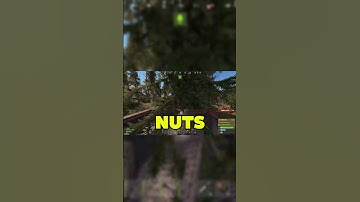 RAID GONE WRONG FAIL SNEAKY #RUST #rustgame