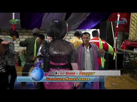 TAYUB TUBAN : KENO GUNO //  TENGGOR