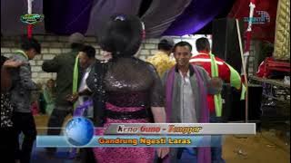 TAYUB TUBAN : KENO GUNO //  TENGGOR