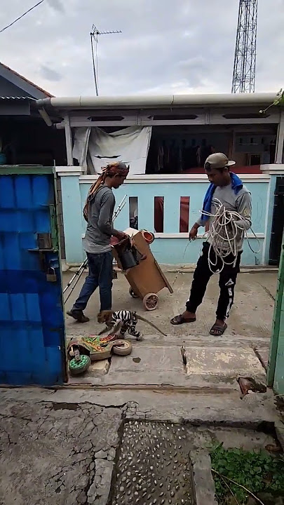 Kaget mau di samperin topeng monyet 🤣 #reels #funny #shorts #viral #topengmonyet #monkey