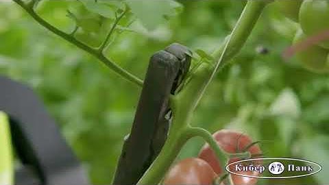 Robot Farmer Kompano