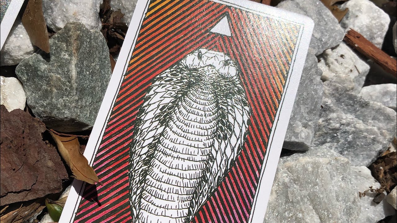 🐍 Cobra Spirit, this is Your 🔮 Reading • May 2021 • Animal Spirt Totems 🐍