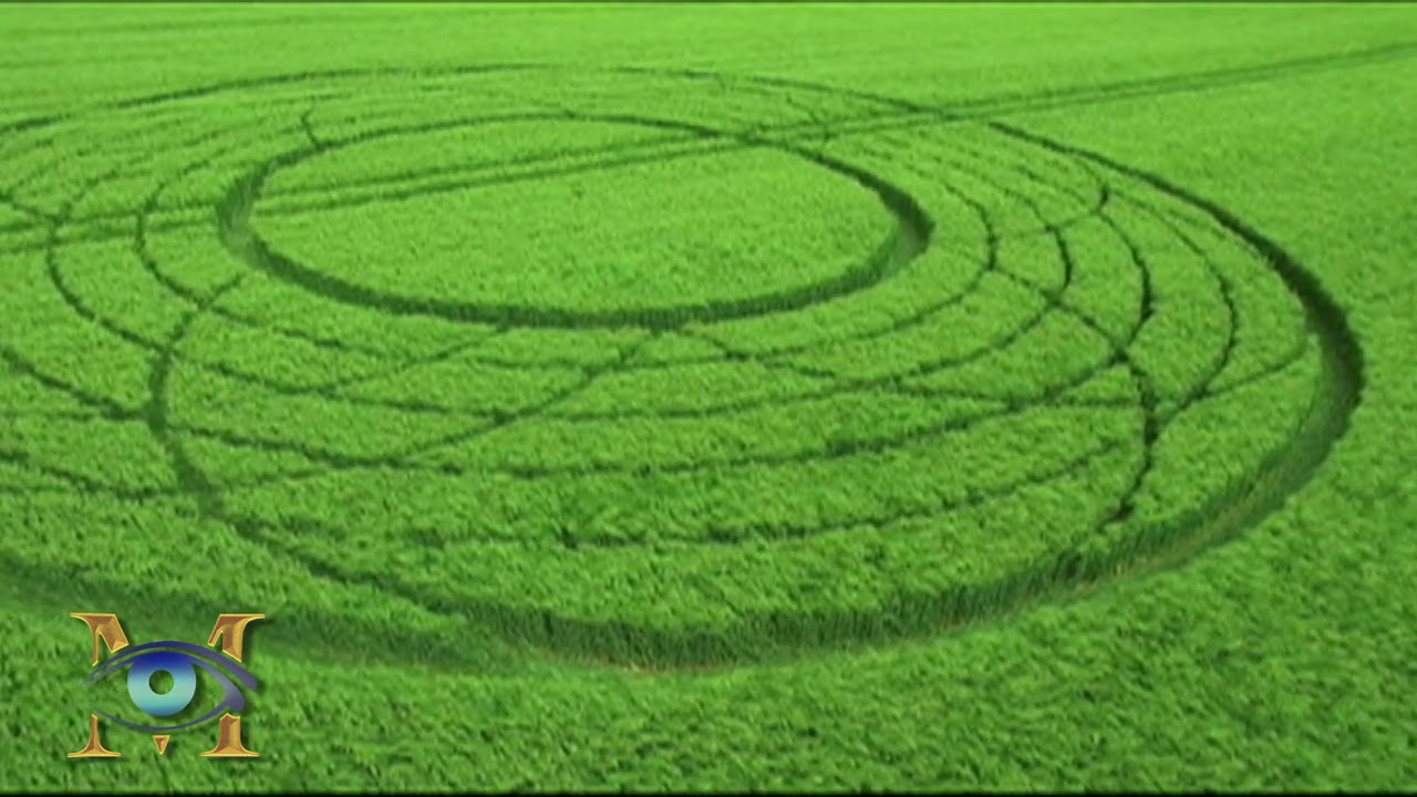 Crop Circle Estrella camera iphone 8 plus apk
