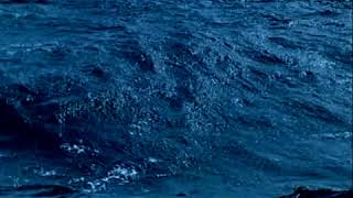 Blue Planet Media Project