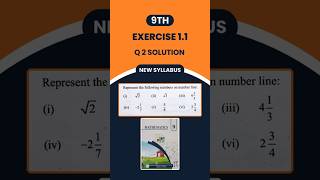 9th Math Exercise 1.1 Q2 Solution | Represent The Numbers On Number Line | Math Dotts YouTube Short