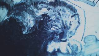 Рисунок кота карандашом, углем Рисунок кота карандашом, углем