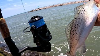Jetty Fishing Packery channel for Speckled trout With Soft Plastics CATCH and COOK!