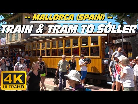 Train and tram