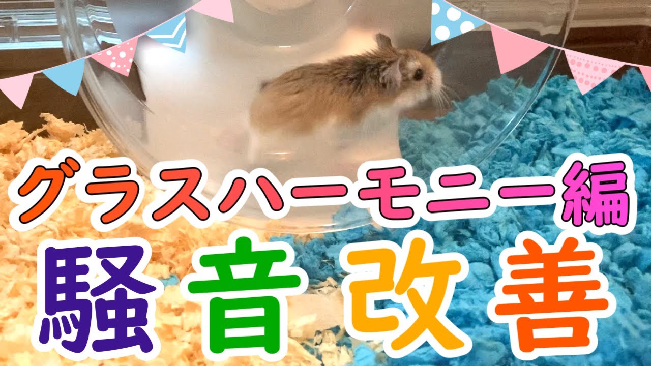 Hamster] How to make your Glass Harmony wheel quieter! Noise