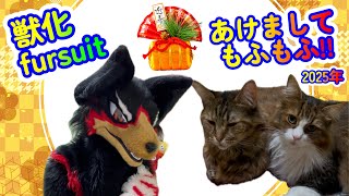 【fursuit/獣化#131】2025年の元日からもふもふタイムよ～🐾【ジュージュー/JuuJuu】#fursuit #獣化 #live
