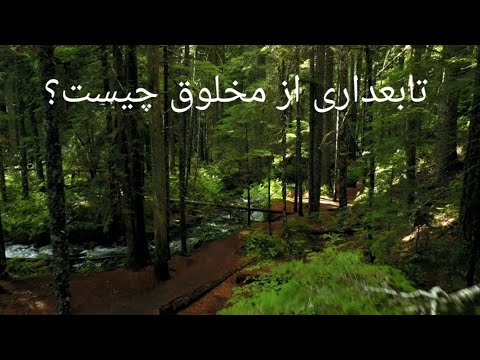 تصویری: مخلوق چیست