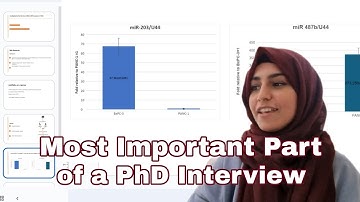 PhD Interview Research Presentation: The Most Important Part of Your Interview!
