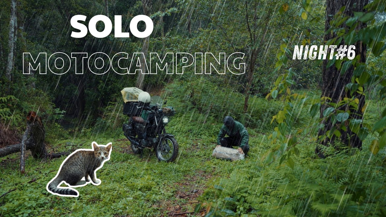 Solo Moto Camping/ Camping With Cat/ Camping In The Rain Eps.6