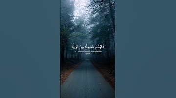 اية من سورة النمل || القارئ بشار سراج