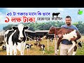             cow farming  dairy farm 