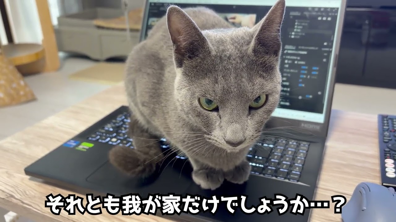 【心地良い】特等席！