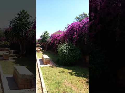 اللهم إنا نسألك صباحا يملا الاجساد عافية والروح فرحا والقلب طمأنينا