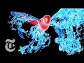 The best fluid dynamics physicss of 2015  sciencetake  the new york times