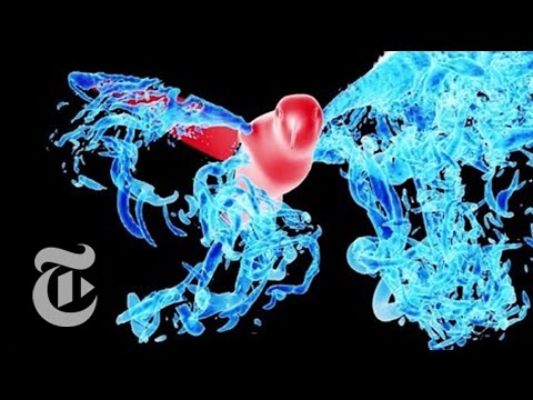 The Best Fluid Dynamics Physics Videos of 2015 | ScienceTake | The New York Times