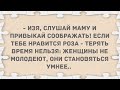 Нравится Роза - терять время нельзя. Подборка веселых анекдотов! Приколы!