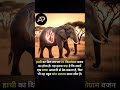 "🐘 हाथी – बड़ा दिल और शांत स्वभाव का प्रतीक"---🔥:#ElephantFacts #BigHeart #WildlifeWonder #facts