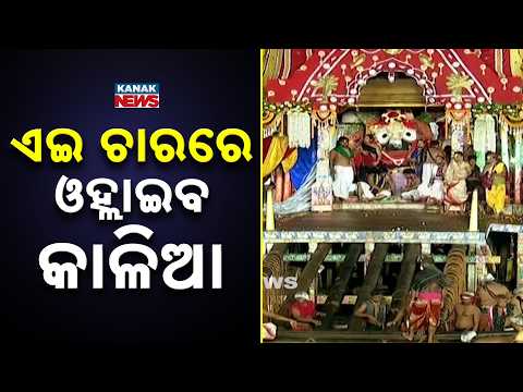 Niladri Bije 2026 | The Sacred Wooden Ladder Used for Lord Jagannath's Descent