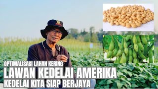 Soybean Seed Production Is More Profitable