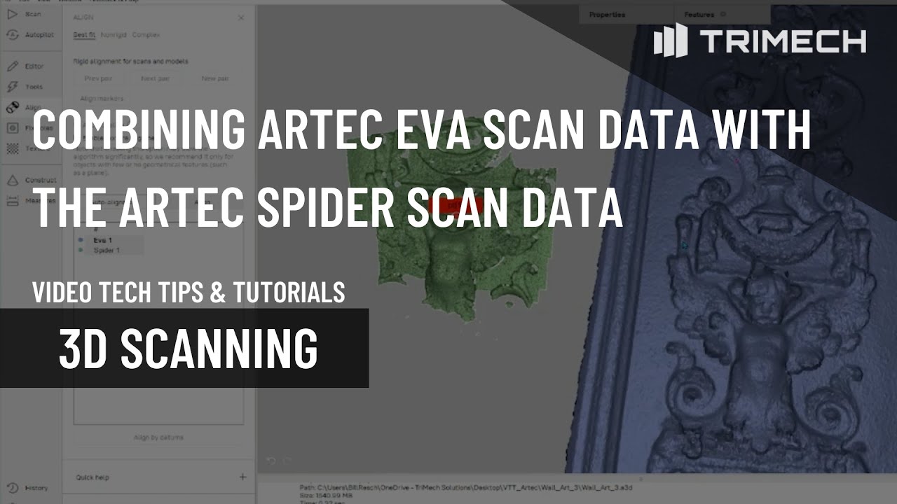 Combining Artec EVA Scan Data With Artec Spider Scan Data for High-Quality Scans