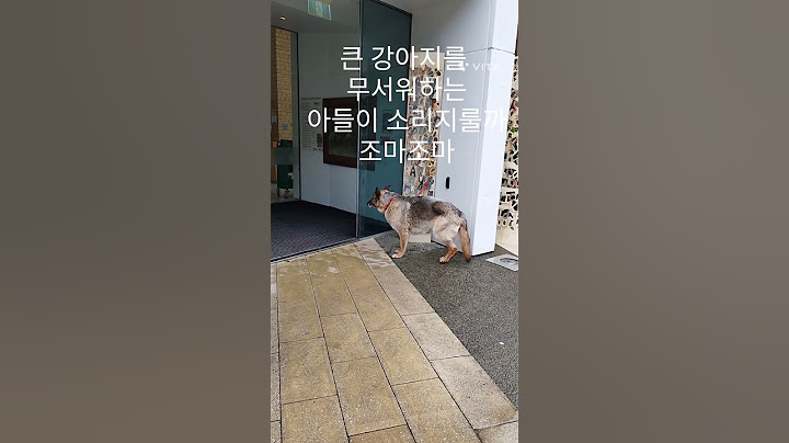 큰 강아지 무서워하는 아들이 조마조마합니다 #오클랜드 #뉴질랜드 #newzealand