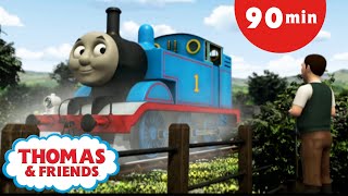 Thomas & Friends™  Thomas and the Pigs  | Thomas the Train | Kids Cartoons