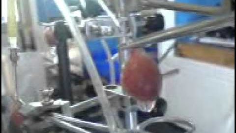 isolated heart preparation
