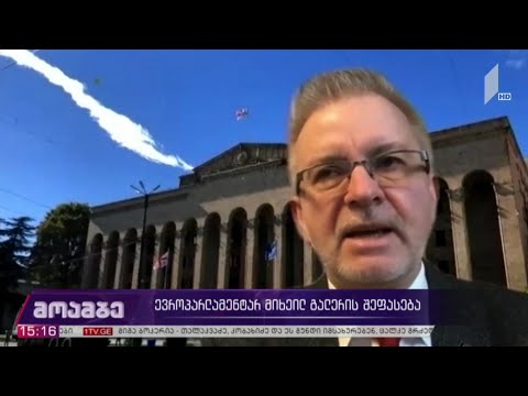 ევროპარლამენტარ მიხაელ გალერის შეფასება