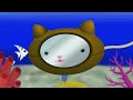 Cat Face 21