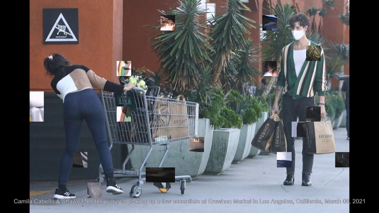 Camila Cabello & Shawn Mendes pictured picking up a few essentials at