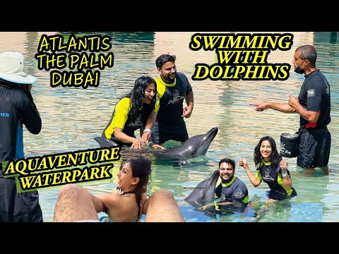 DOLPHIN PLAY in Dubai/ We Play with Dolphins at Atlantis the Palm! @Richa & Saurav World