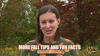 Staying Safe with Stormtracker 16: Why leaves change color in the fall