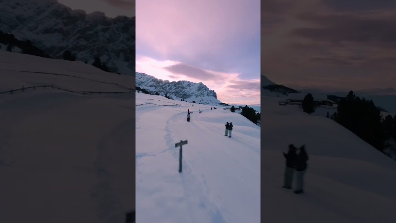 Dogsledding in the Dolomites 🤩 