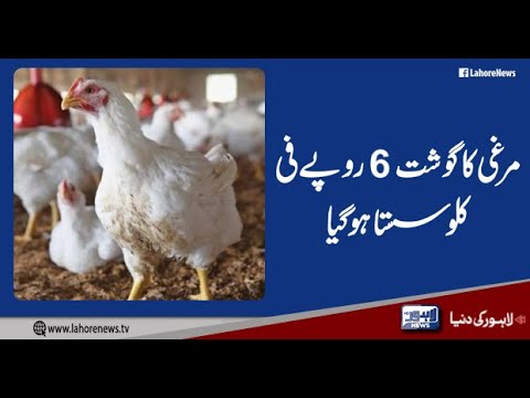 Broiler Chicken Price Drops Down