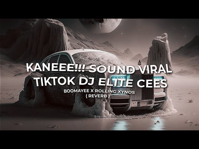 KANEEE!!! SOUND VIRAL TIKTOK DJ ELITE CEES BOOMAYEE X ROLLING XYNOS ( REVERB ) class=