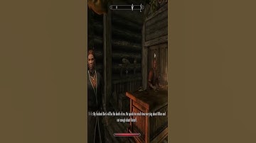 When a Skyrim NPC is not What You Imagined #shorts